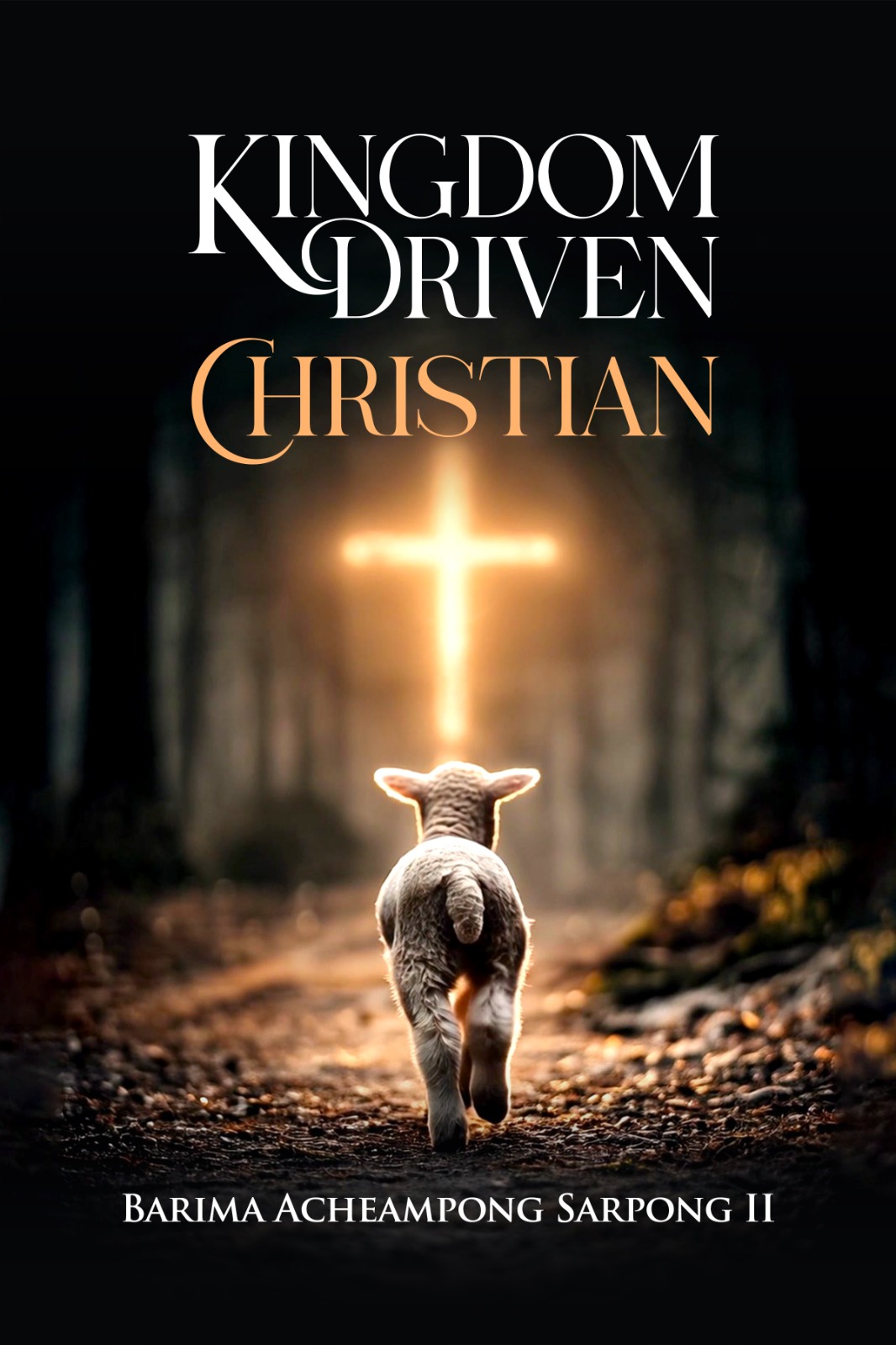 Kingdom Driven Christian — cover